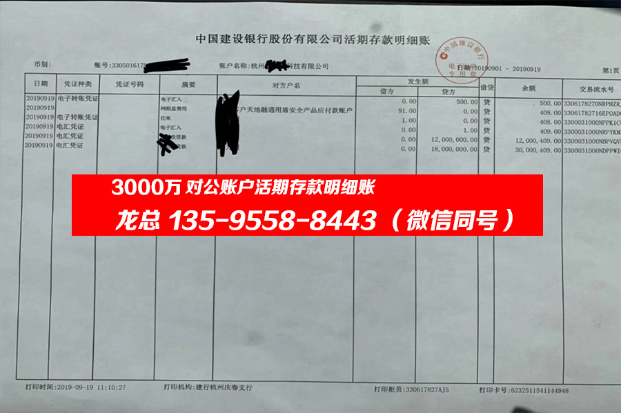 3000萬建行企業(yè)賬戶活期存款明細賬（流水對賬單）(圖1)